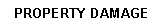 Text Box:   PROPERTY DAMAGE